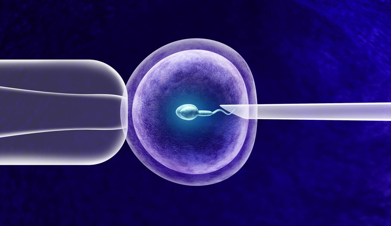 Fertility Clinic